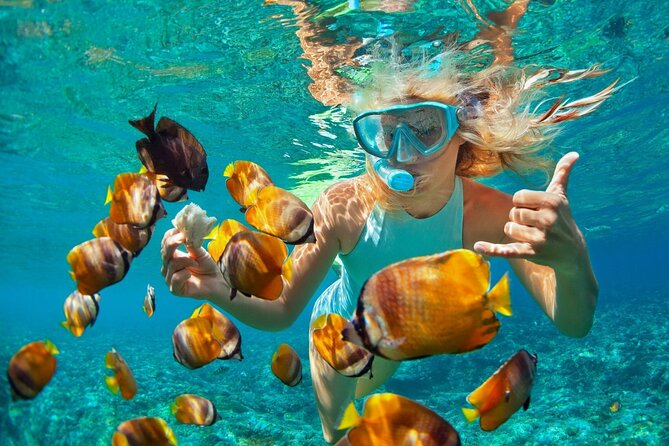 Full-Day Catamaran Snorkeling Tour With Lunch From Puerto Plata - Tour Overview