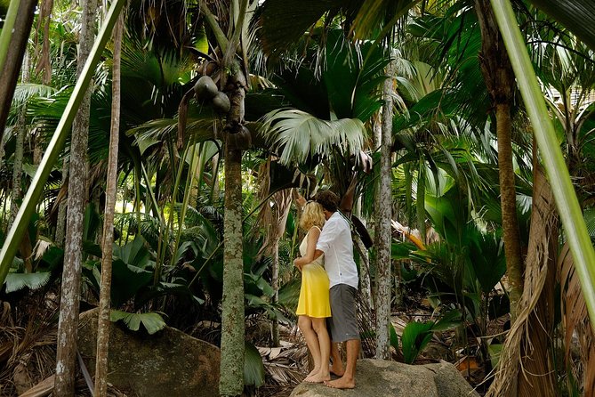 Full Day Discovery Tour of Vallee De Mai and Anse Lazio on Praslin Island