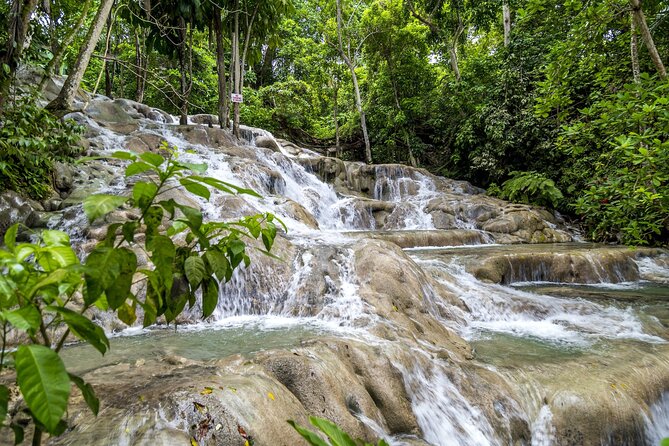 Full Day Dunns River and Nine Miles With Lunch