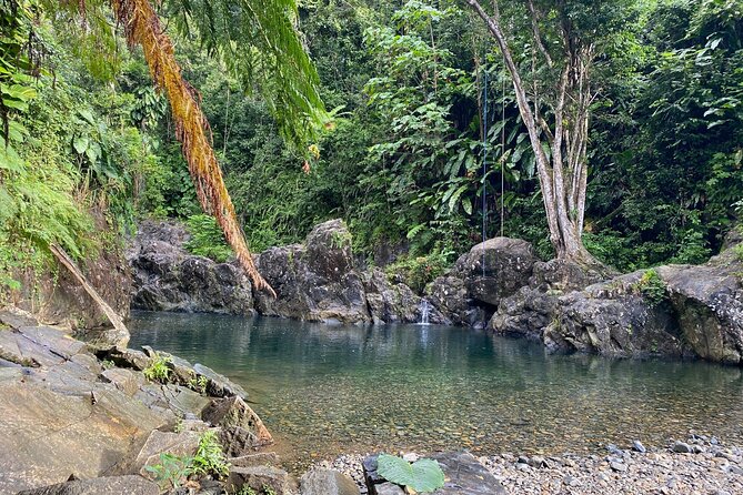 Full-Day El Yunque and Old San Juan Tour With Transport