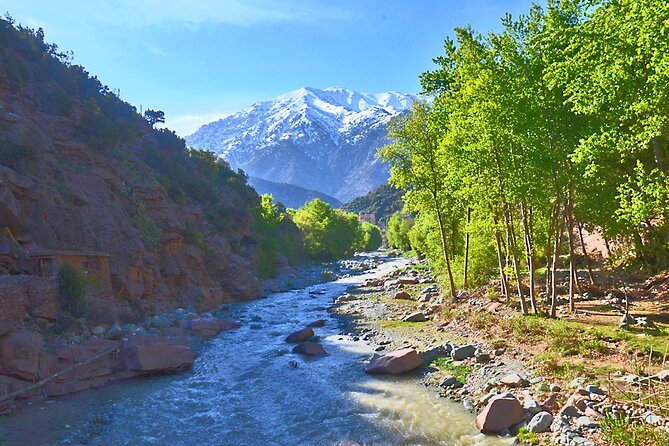 Full Day Excursion Tour to Ourika Valley - Inclusions