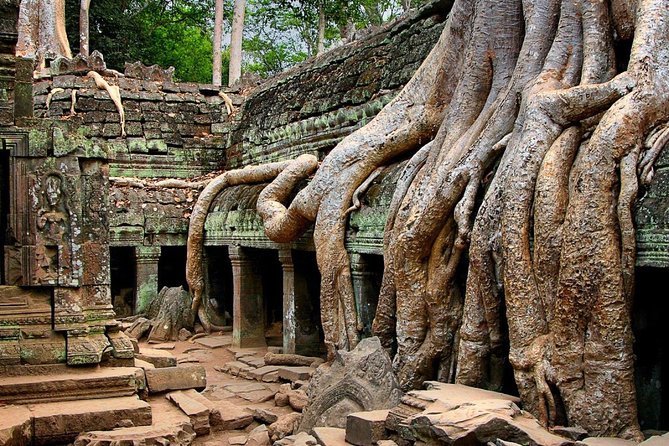 Full-Day Explore Angkor Wat Temple & Floating Village