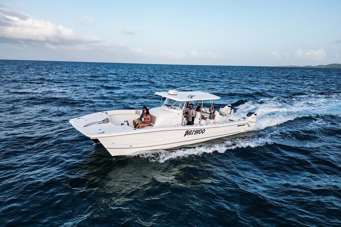 Full-Day Fishing Charter in East Coast, Puerto Rico