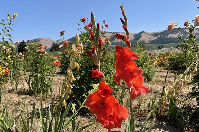 Full Day Guided Columbia River Gorge Tour in Oregon - Inclusions and Costs