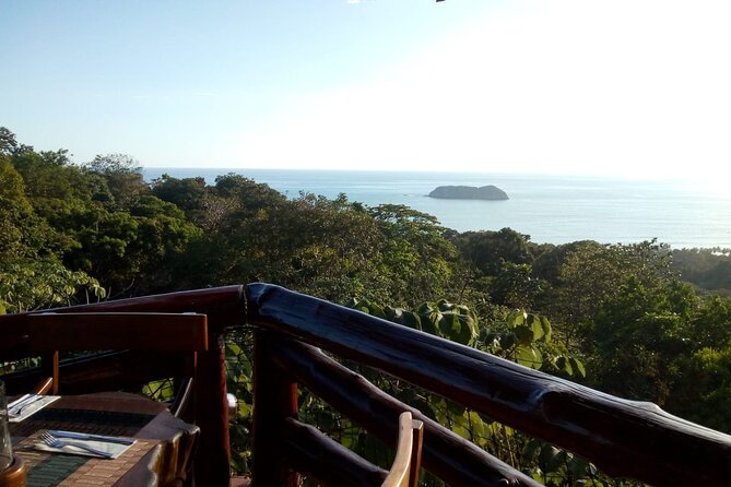 Full Day Hiking Manuel Antonio and Watching Wild Life at Nature From San Jose