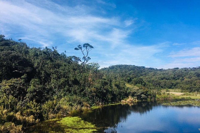Full-Day Horton Plains National Park Tour From Nuwaraeliya