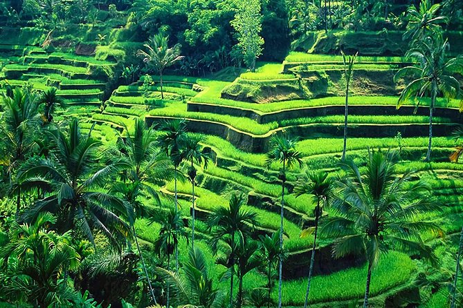 Full-Day in Bali: Amazing Ubud Tour