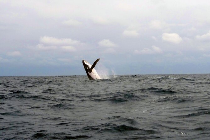 Full Day Isla De La Plata Sunshine Route From Guayaquil