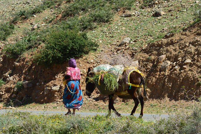 Full-Day Private Atlas Mountains and Agafay Desert Tour