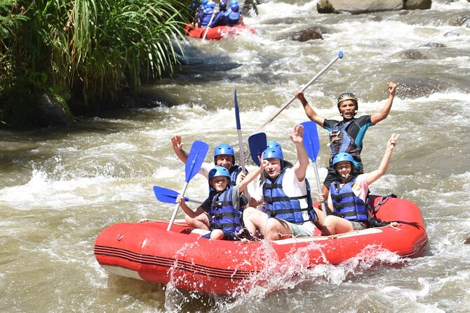 Full Day Private Car Tour With Driver as Guide in Ubud - Tour Overview