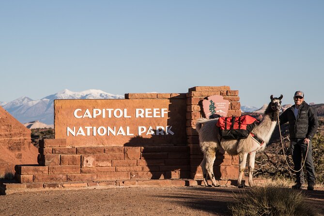 Full-Day Private Guided Llama Hikes - Exploring Utahs Breathtaking Landscapes