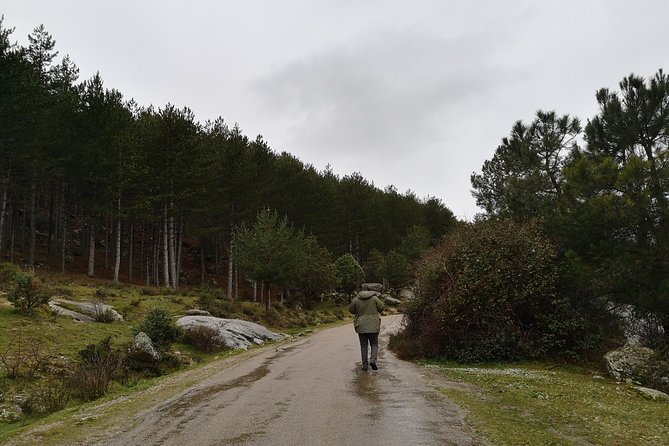 Full-Day Private Guided Tour to Guadarrama National Park