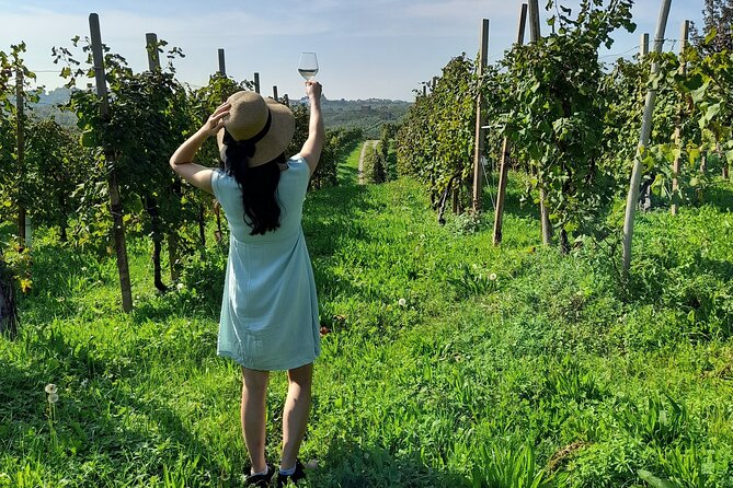 Full-Day Private Prosecco Road Tour All Inclusive From Venice