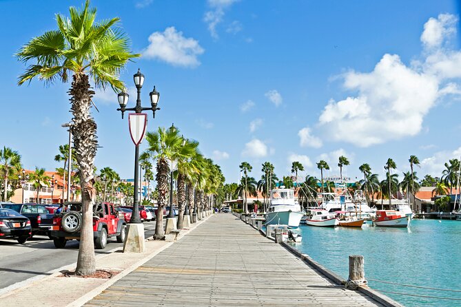Full Day Private Shore Tour in Oranjestad From Oranjestad Port