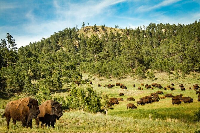 Full-Day Private Sightseeing Tour in South Dakota - Booking Information
