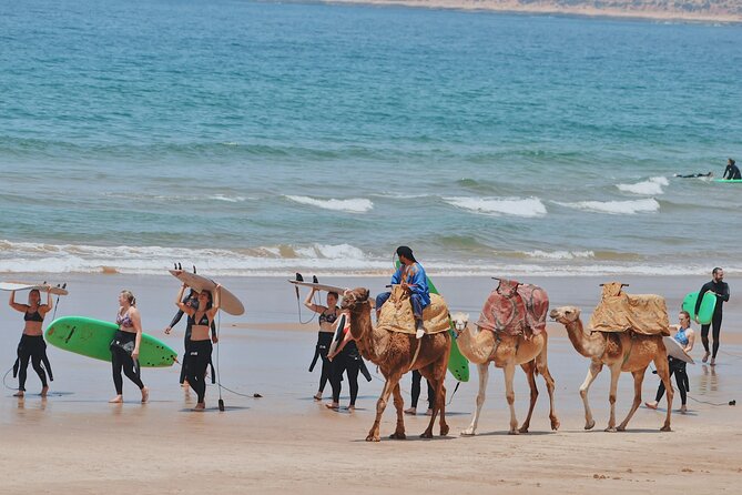 Full Day Private Tour From Marrakesh to Essaouira With Pickup