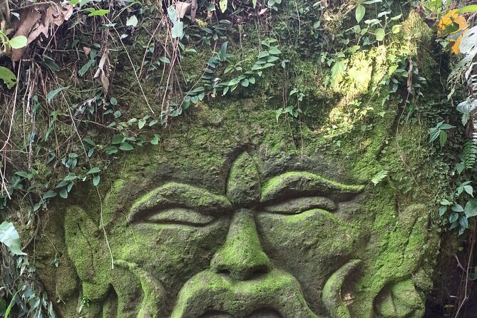 Full-Day Private Tour in Ubud With Pick up