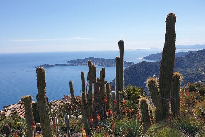 Full-Day Private Tour of Nice, Monaco and Eze Village With Private Guide