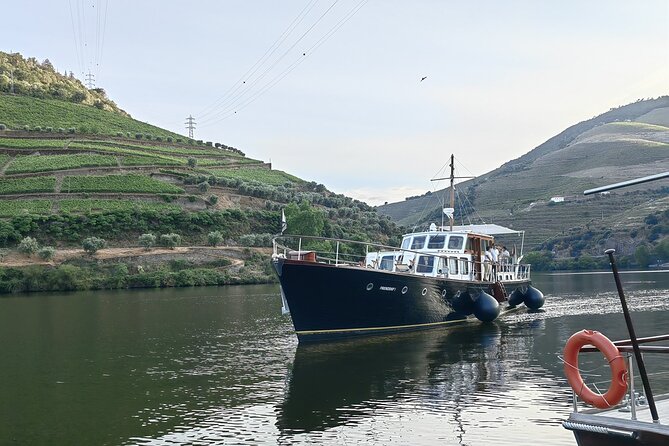 Full Day Private Tour to Douro – Vintage Experience