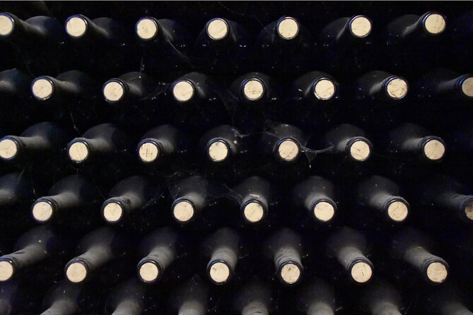 Full-Day Rioja Wineries Tour From Madrid With Pickup and Drop off