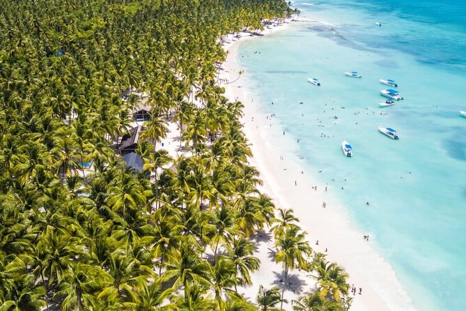 Full Day Saona Island Day Trip From Punta Cana - Pickup and Transportation Details