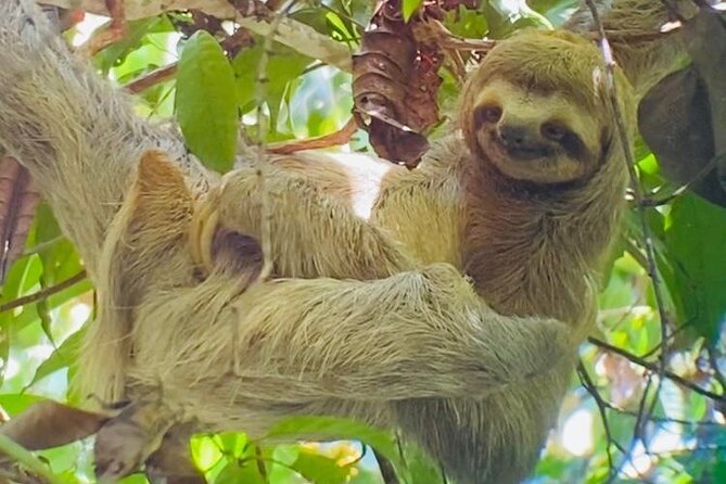 Full-Day Shared Tour in Manuel Antonio With Lunch