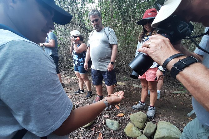 Full Day to Ecological Reserve Churute Mangrove