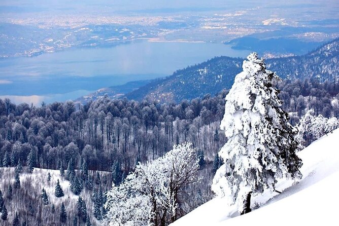 Full-Day Tour in Maşukiye and Sapanca With Pick up