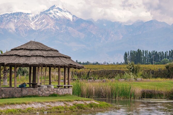 Full Day Tour Mendoza Wineries in the Uco Valley - Tour Overview