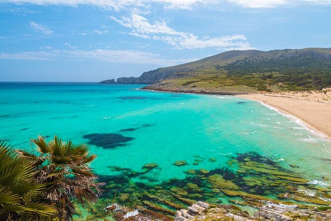 Full-Day Tour of Cala Mesquida, Cala Agulla, and Cala Molto