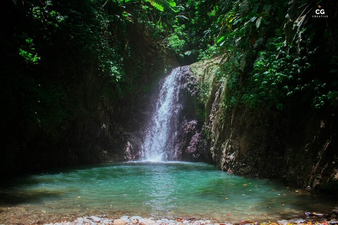 2 Best Full-Day Tours In Grenada