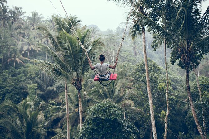 Full Day Tour to Best of Ubud With Jungle Swing