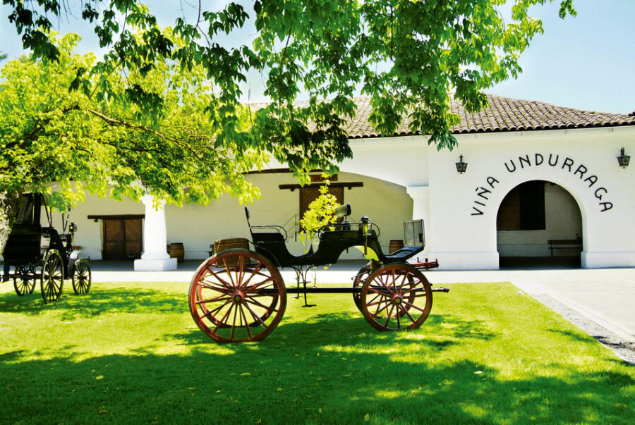 Full-Day Tour to Isla Negra, Algarrobo & Undurraga Winery