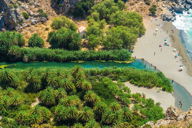 Full-Day Tour to Preveli Palm Beach From Heraklion