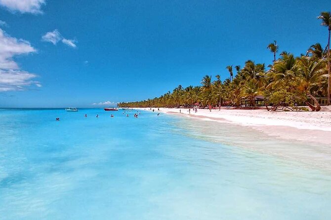 Full-Day Tour to Saona Island From Bavaro Private