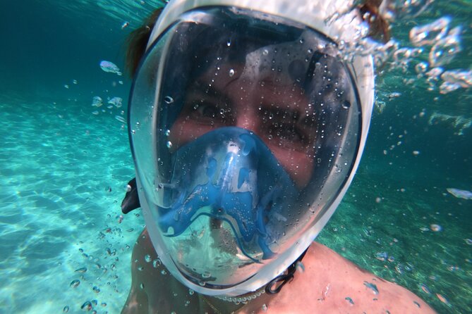 Full Day Tour to the Best Beaches and Coves of Mallorca - Tour Overview and Details