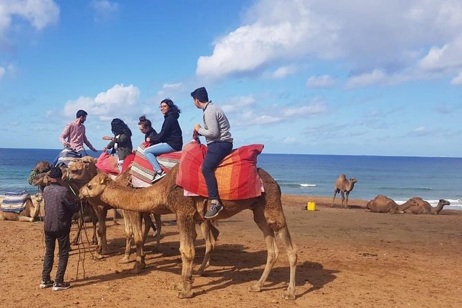 Full Day Trip in Tangier With Camel Ride - Overview of the Trip