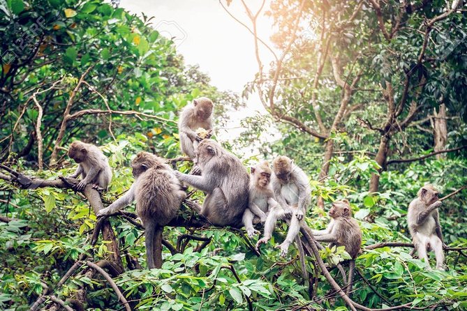 Full Day: Visit UBUD VILLAGE and Around – Famous Sightseeing Tours in Bali