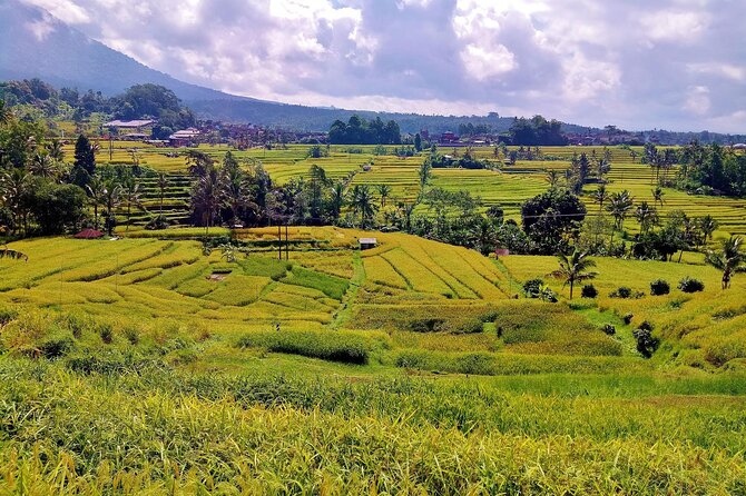 Full Day Wonders of Bali Group Tour With Pickup and Lunch - Exclusions