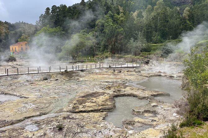 Furnas Vale, Gorreana Tea Factory Private Van Tour