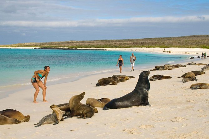 Galapagos – Exploring San Cristobal Island 4 Days