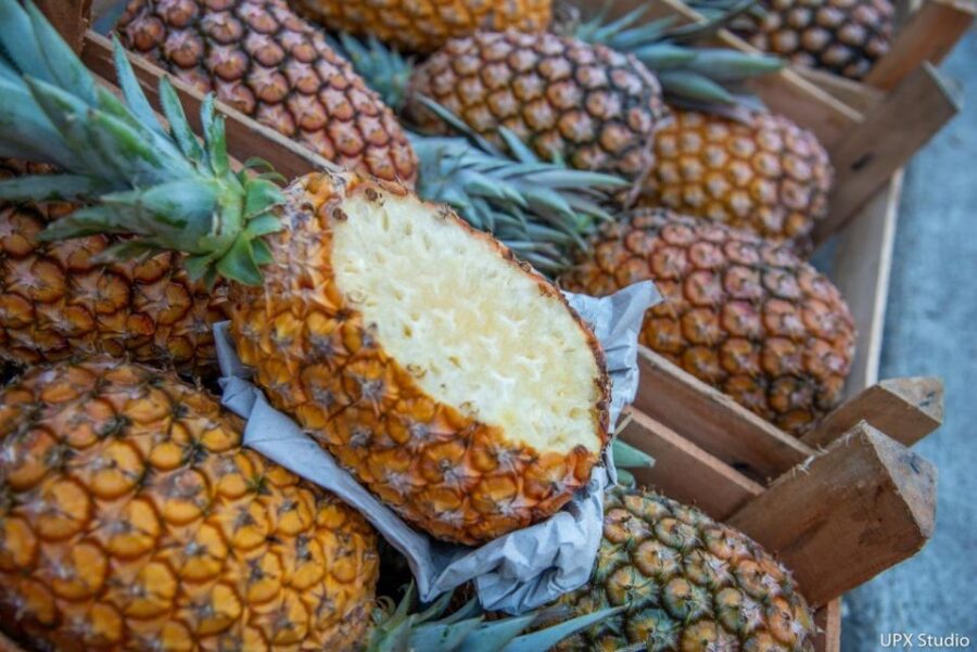 Gastronomic Tour at the Municipal Market of Rio De Janeiro