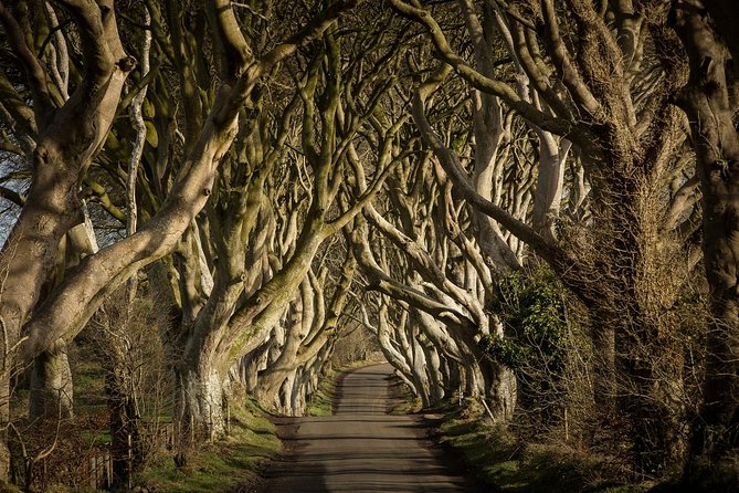 Giants Causeway and Whisky Distillery Tasting Tour From Belfast - Overview of Key Attractions