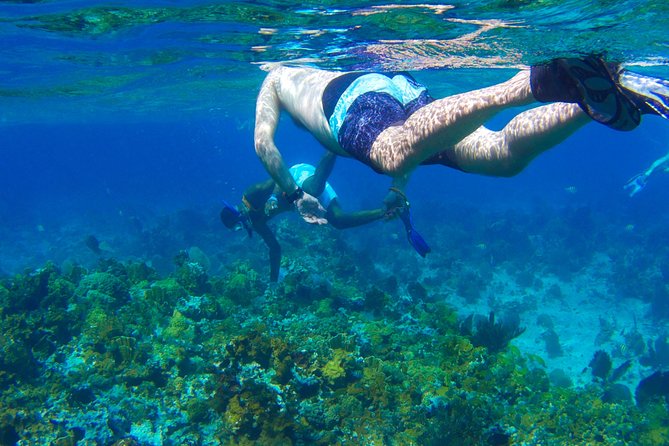 2 Best Cruises And Boat Tours In Lucea