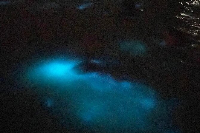 Glistening Waters Luminous Lagoon Night Tour With French Guide - Tour Overview