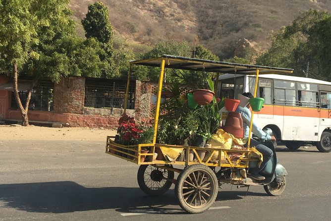 Golden Triangle – Accompanied 5-Day Budget Tour