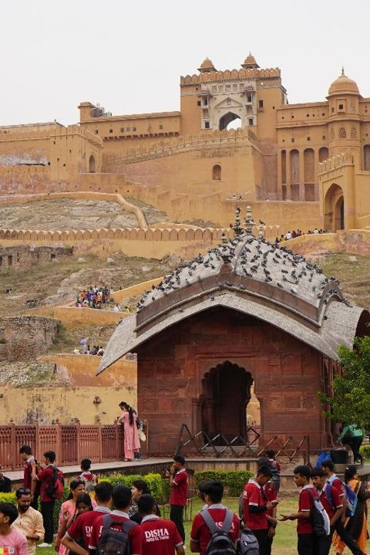 Golden Triangle Tour With Mathura & Vrindavan Package!!!