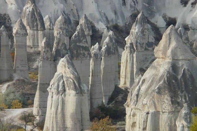Grand Turkey Tour