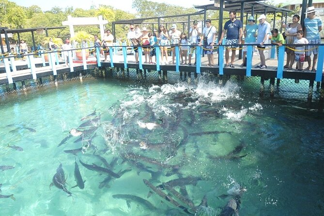 Great Tours Rosario Island, Blue Beach, Cholon And White Beach