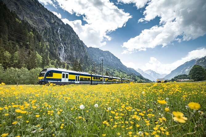 Grindelwald First – Top of Adventure From Lucerne